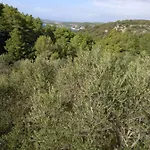 Svema