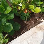 Holiday home Svema *