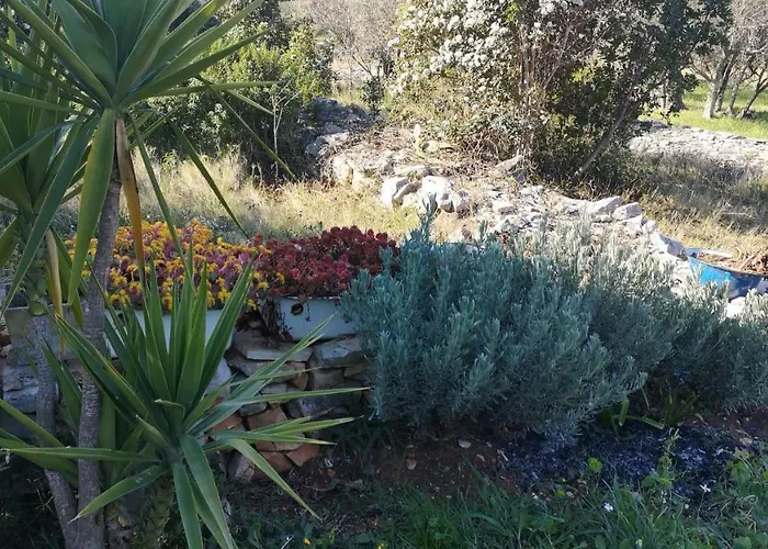 Svema וולה לוקה