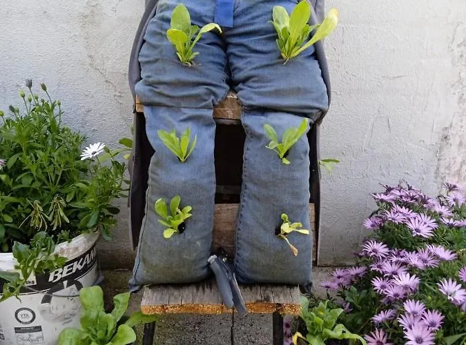 בית נופש Svema